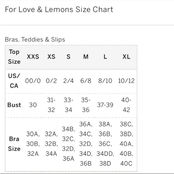 NWT For Love & Lemons foil rose bustier with embroidery size medium - Picture 8 of 9